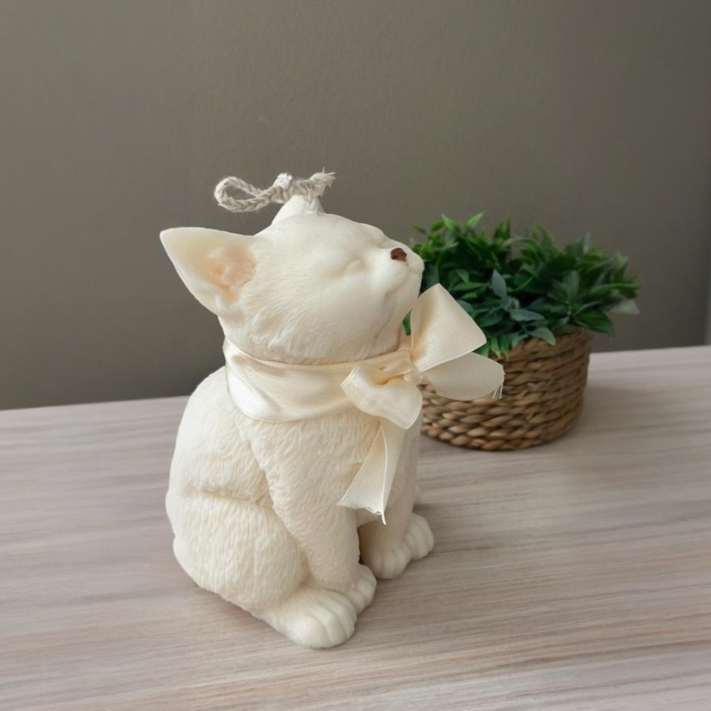 Smile Cat Silicone Mold for DI - Soap Making Equipment For Beginners recensie en prijs