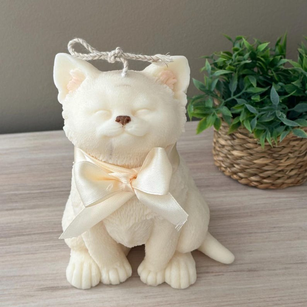 Smile Cat Silicone Mold for DI - Soap Making Equipment For Beginners recensie en prijs