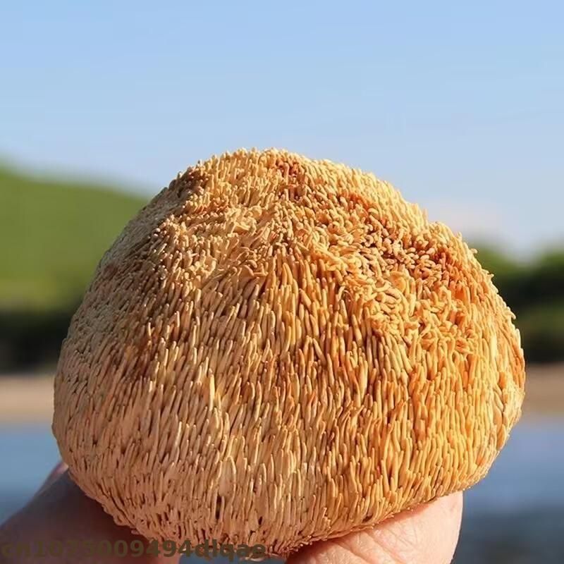 Premium Dried Lion's Mane Mush - Soap Making Home recensie en prijs