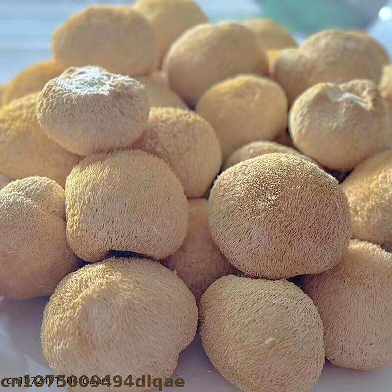 Premium Dried Lion's Mane Mush - Soap Making Home recensie en prijs